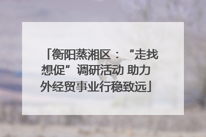 衡阳蒸湘区：“走找想促”调研活动 助力外经贸事业行稳致远